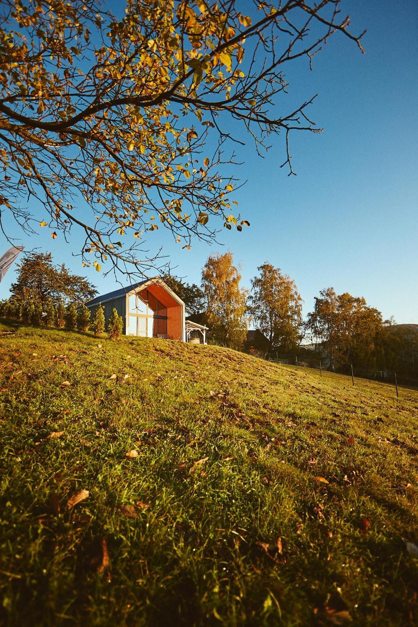 Lodge Scandinave Bran *
