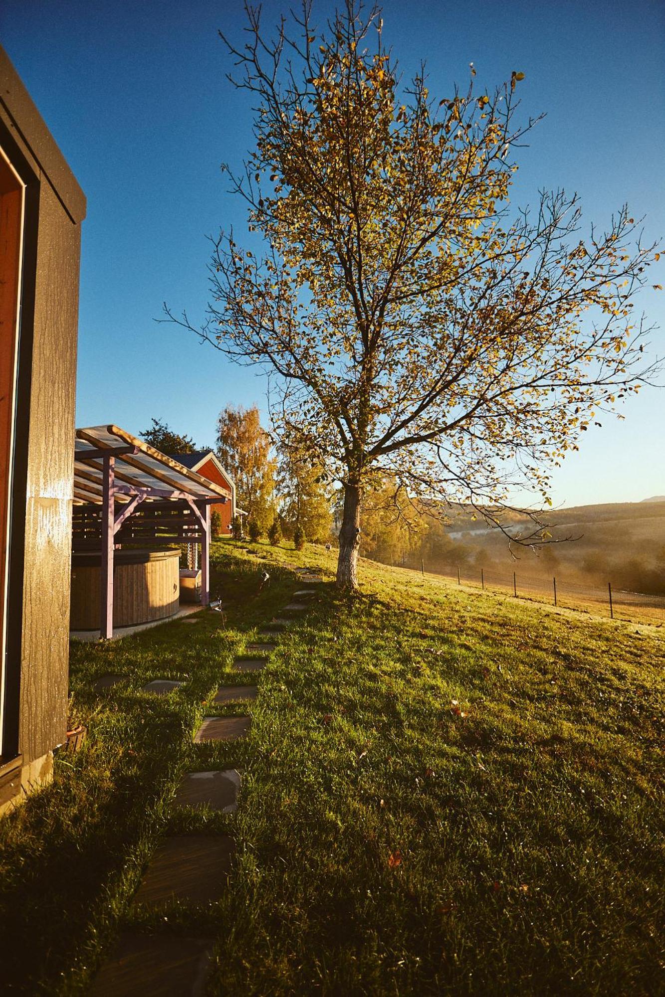 Lodge Scandinave Bran *