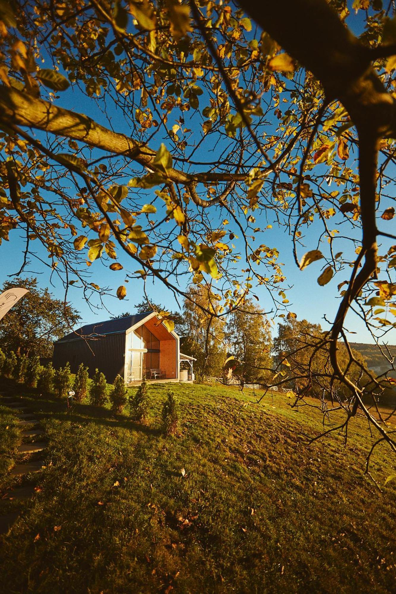 Scandinave Bran *