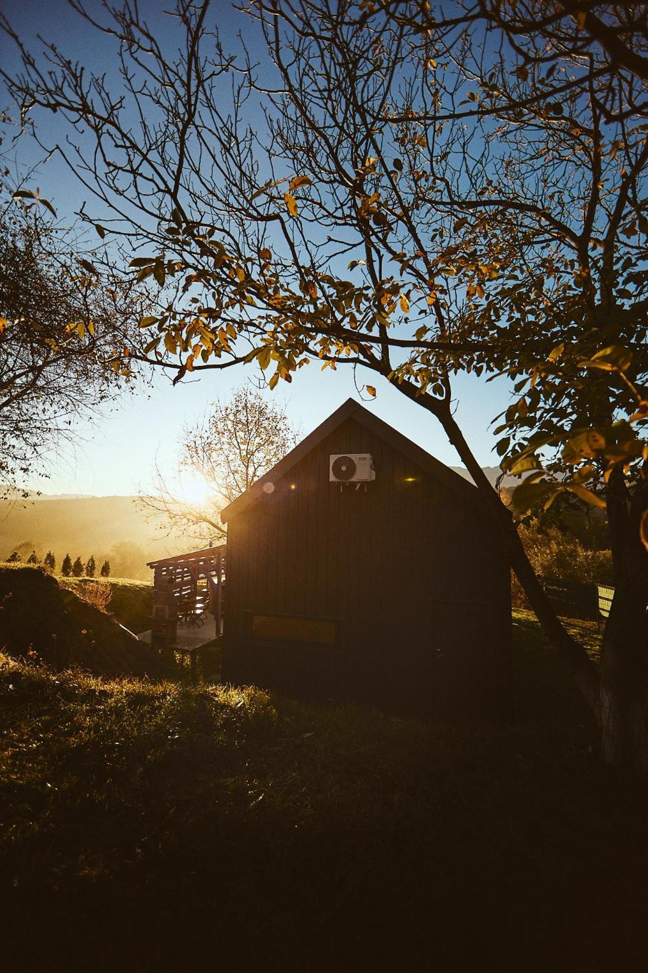 Scandinave Bran Lodge Zărneşti