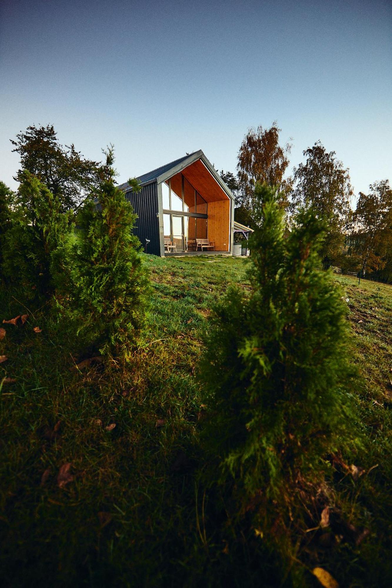 Scandinave Bran *